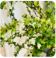 世界币（WLD）是什么？如何领到世界币空投？还能参与吗？