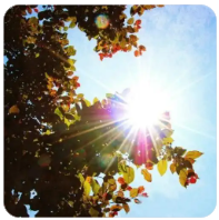 ETH ( 以太坊) Pectra 升级，币价反弹150%，以太海啸来时别还在犹豫