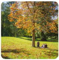 BBSOL 是什么？ Bybit 推出的Solana 流动质押方案全解析（2026 最新）