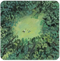 世界币（WLD）是什么？如何领到世界币空投？还能参与吗？