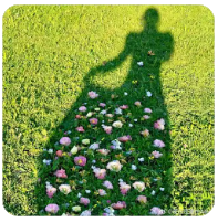 Chainlink 介绍｜LINK 币是什么？为何被称为预言机龙头？