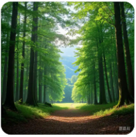 稳定币USDE 是什么？完整解析Ethena USDe 稳定币机制与投资风险