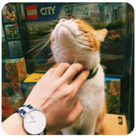 Kas币（Kaspa）是什么？揭开高速PoW 公链的技术基础与应用潜力