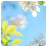 PENGU 币是什么？从胖企鹅到区块链的Web3 实验室