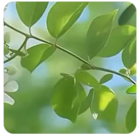 Chainlink 介绍｜LINK 币是什么？为何被称为预言机龙头？