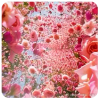 世界币（WLD）是什么？如何领到世界币空投？还能参与吗？